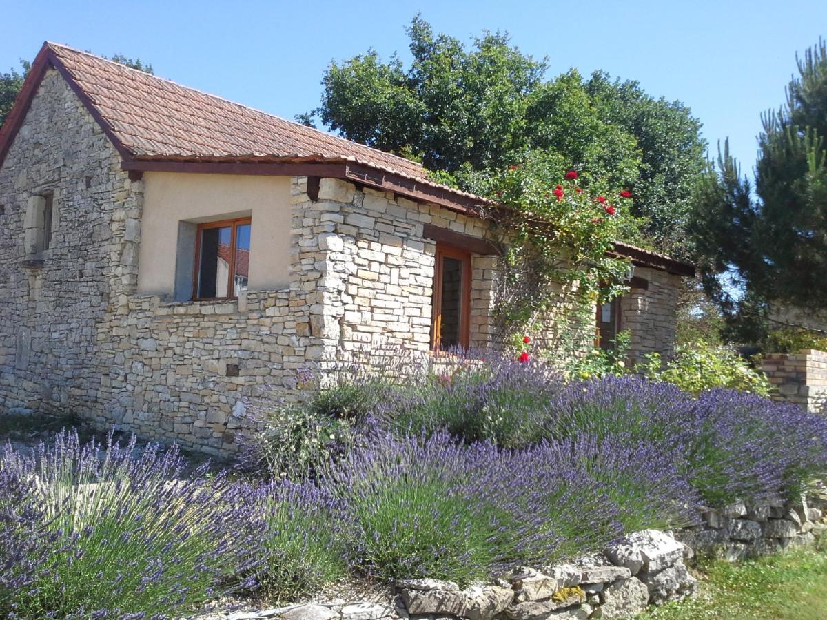 Вілла Le Hameau Des Cardenals Salviac Екстер'єр фото